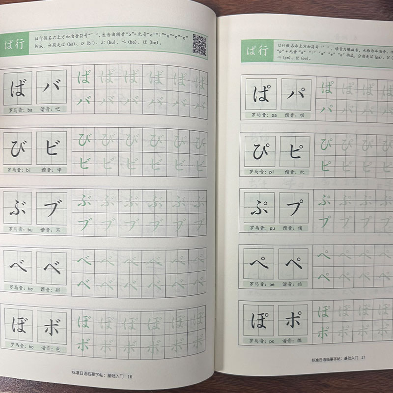 Chinese Calligraphy Practice Book - Quaderno di Pratica per Principianti di