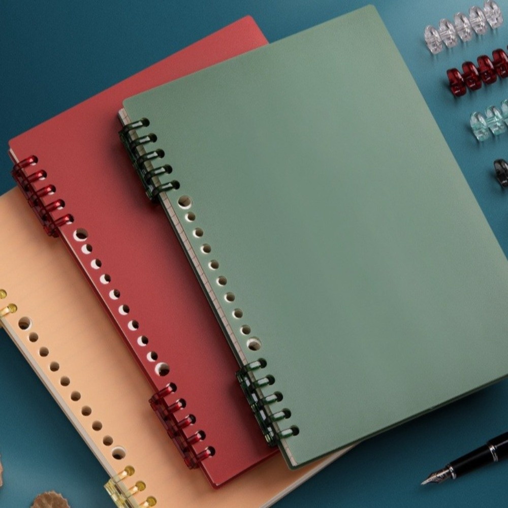 Quaderno ad Anelli A5/B5 Resis - Blank Sheet Music Notebook recensione e prezzo