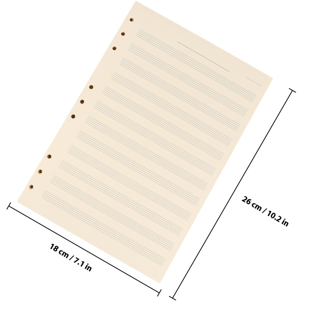 100 fogli di carta per manoscr - Blank Sheet Music Notebook recensione e prezzo